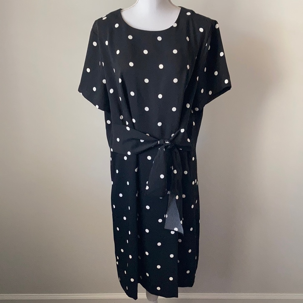 ANN TAYLOR Polka Dot Print Front Tie Dress